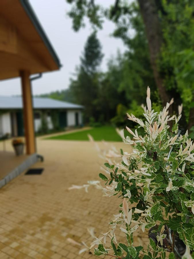 Kosiedlisko *