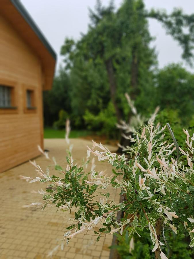 Kosiedlisko * Kraśnik